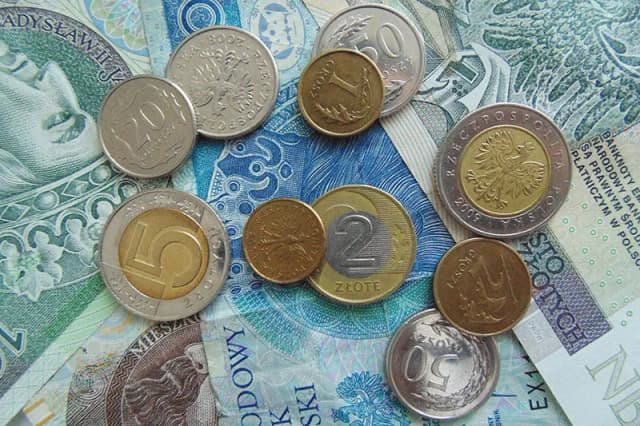 Ile zarabia geodeta za granicą? Zaskakujące różnice w wynagrodzeniach