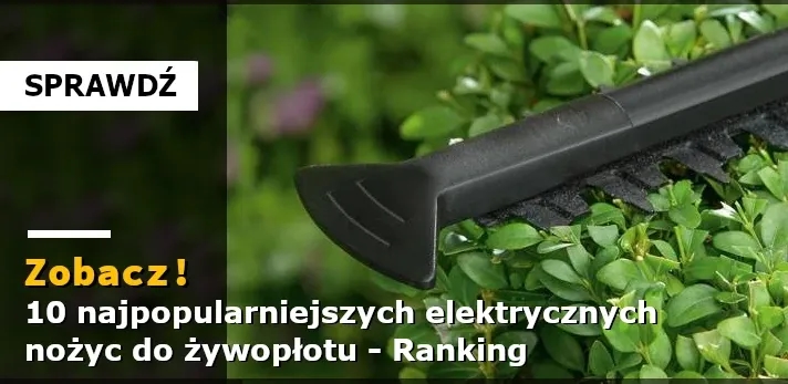 Nożyce do żywopłotu jakie wybrać, aby uniknąć błędów przy zakupie